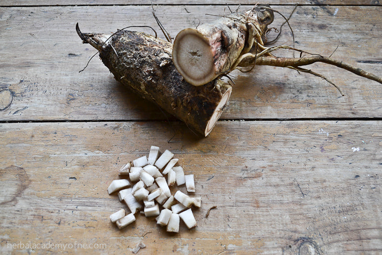 Burdock Root Powder