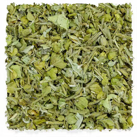 Sideritis Greek Mountain Tea