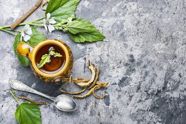 Marshmallow Root Cut & Sifted