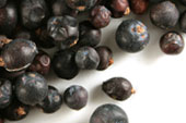 Juniper Berries, European Wild Harvest, Organic