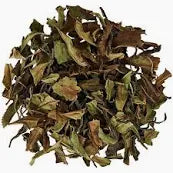 White Tea, Bai Mu Dan Camellia sinensis