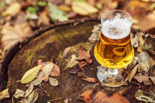 Brewkeeper's Citrus Blend