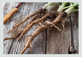 Burdock leaf cut & sifted