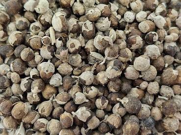 Chaste Tree Berries whole organic