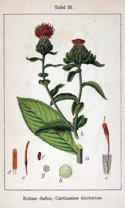 Safflower Cut and Sifted