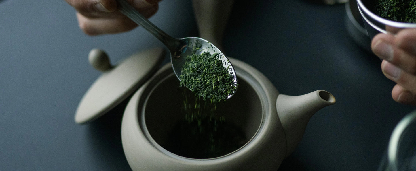 Fukamushi Sencha Kakegawa
