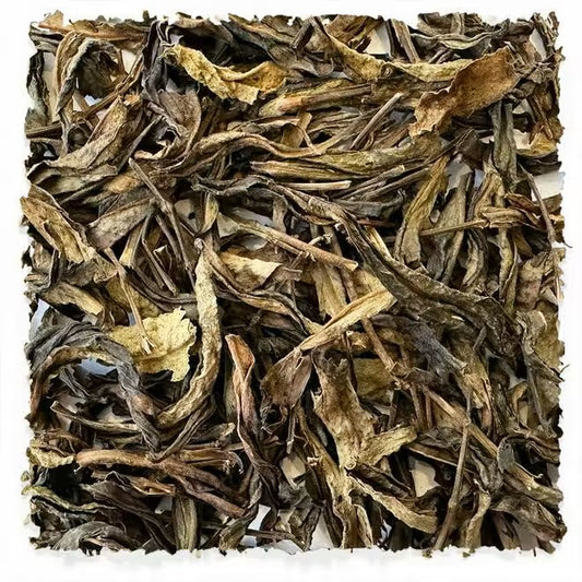 Winter Harvest Roasted Oolong