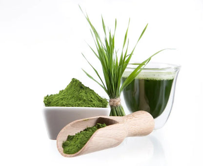 Chlorella Powder