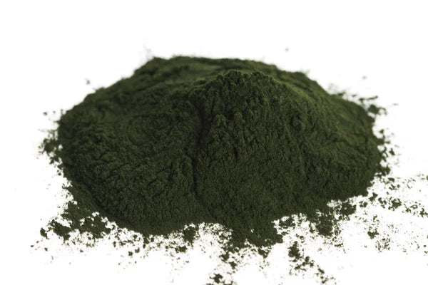 Chlorella Powder