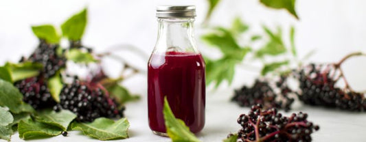 Elderberry Whole Organic