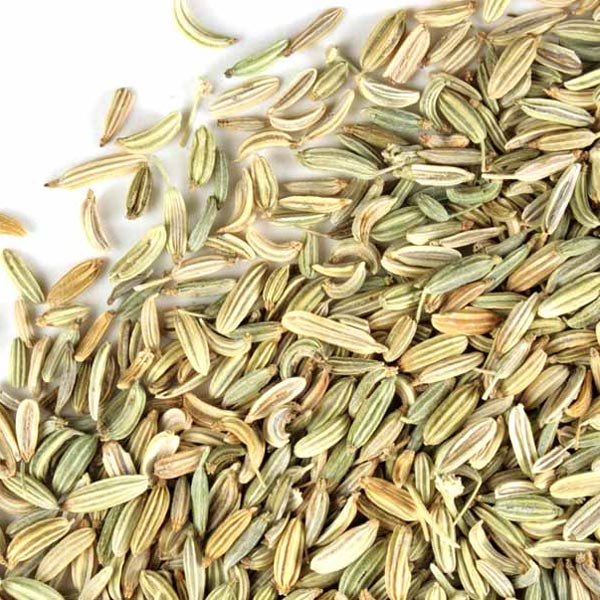 Fennel Seed Whole Organic