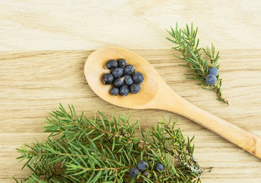 Juniper Berries, European Wild Harvest, Organic