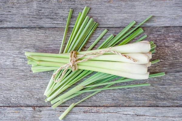 Lemon Grass Cut & Sifted, Organic