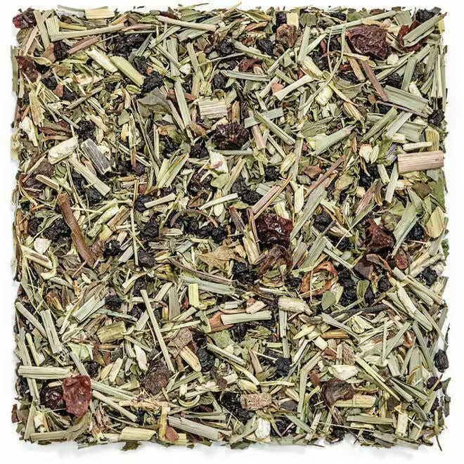 ImmunaTea Echinacea