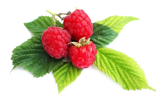 Red Raspberry Fruit loose leaf Tea