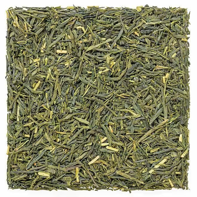 Sencha Satsuma