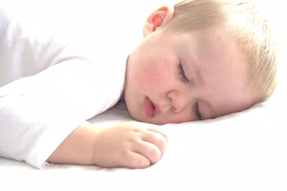 Rest & Refresh Sleep Blend