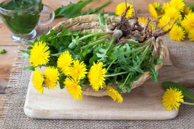 Dandelion Root (Cut & Sifted), European Wild Harvest, Organic